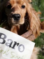 Baro Natural Snacks mehki trakovi s konjem 150g - slika 3