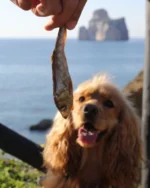 Natural Chews sled 100g - slika 3