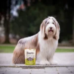 Baro Natural Snacks mehki trakovi s konjem 150g - slika 2