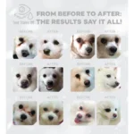 Nature's Protection Superior Care White Dogs - Insekti, 1,5 kg - slika 3