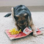 Podloga za vohljanje – Nina Ottosson Activity Matz Fast Food (Stopnja 2) - slika 2