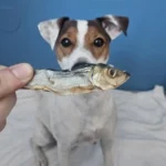 Natural Chews sled 100g - slika 2